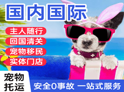 南宁机场快运国际宠物托运 【国